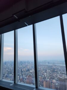 Der Ausblick vom One World Observatory