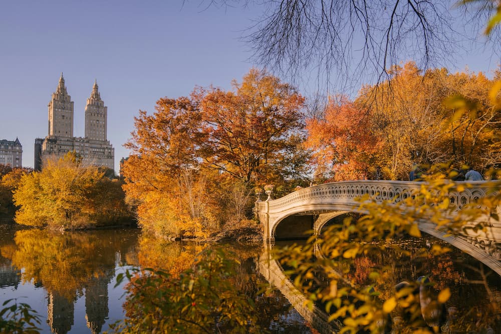 Central Park - Bow Bridge
